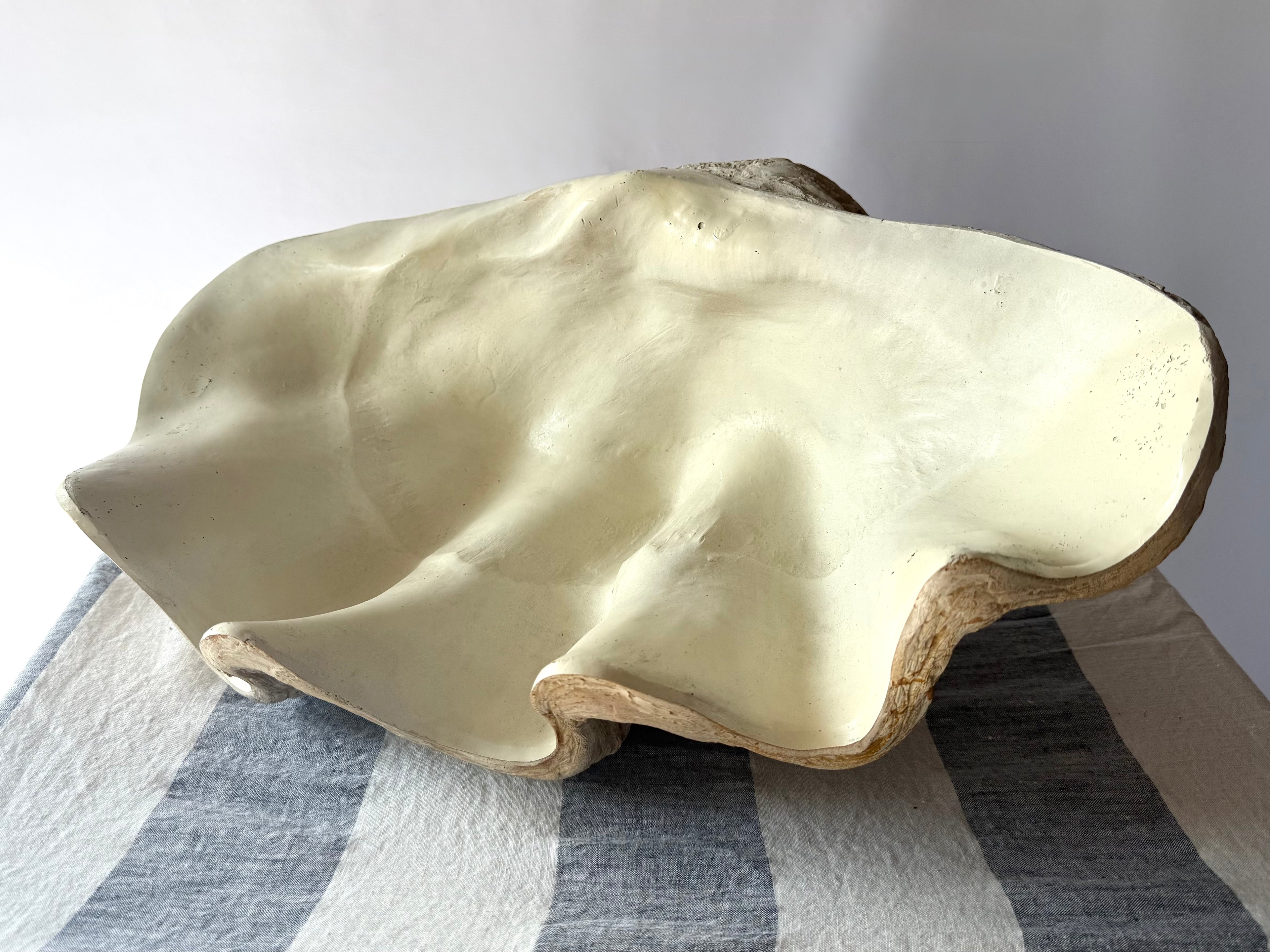 Large Clamshell