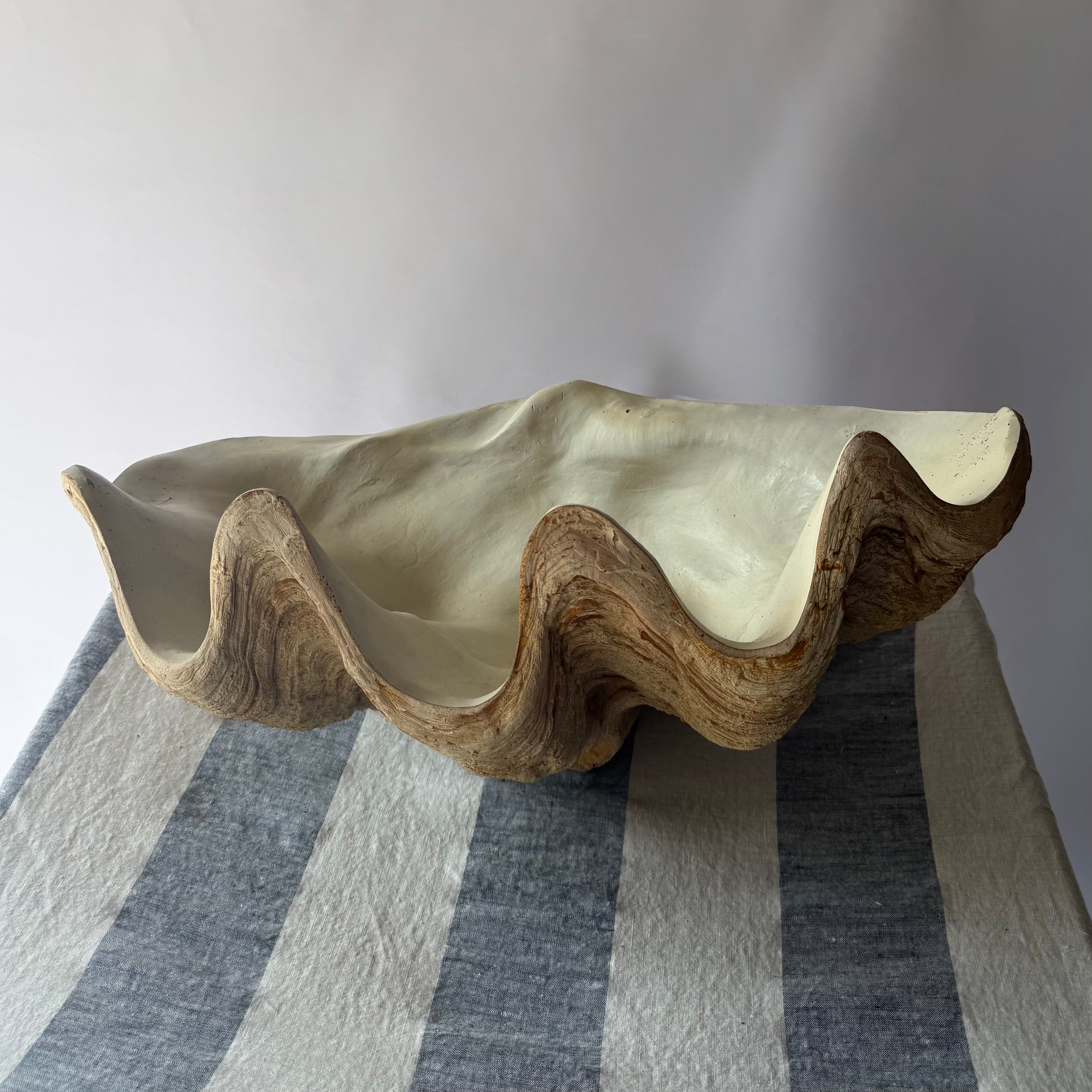Large Clamshell